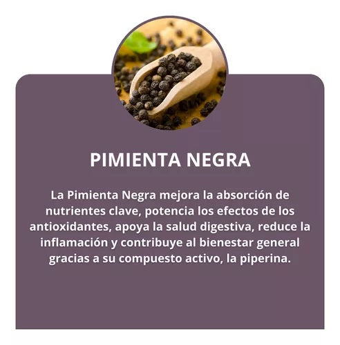 Resveratrol Concentrado 1500mg 90 Cápsul