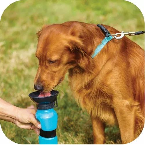 Bebedero de agua portátil para mascotas