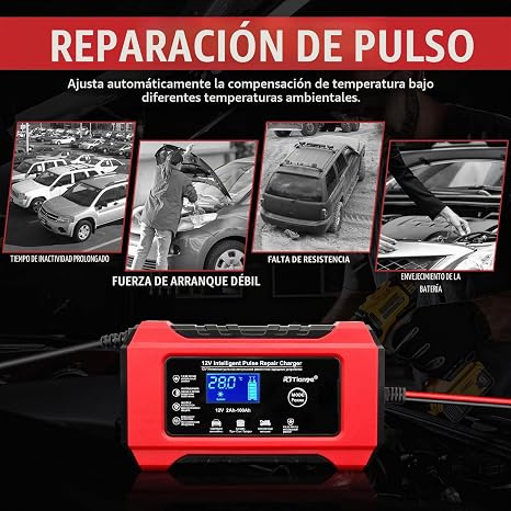 Cargador batería 12V