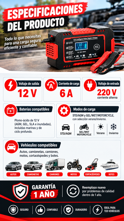 Cargador batería 12V