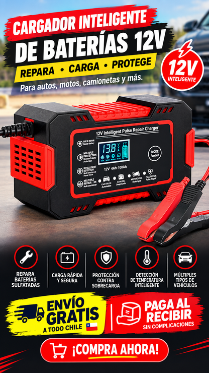 Cargador batería 12V